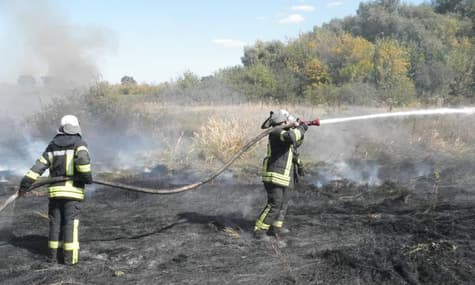 В Луганской области потушили самый большой очаг пожара. Остается еще один участок