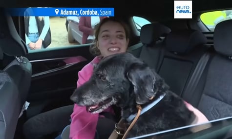 Уціліла в аварії потяга іспанка возз'єдналася зі своїм зниклим собакою: Теж частина родини