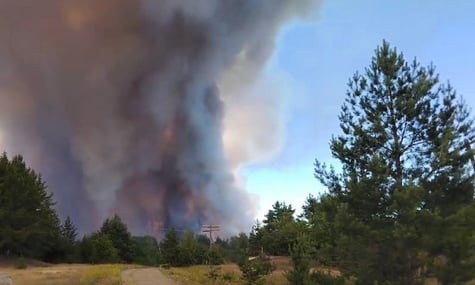 У Чорнобильській зоні гасять пожежі внаслідок падіння російських безпілотників