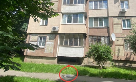 У Києві п’яний чоловік викинув собаку з вікна 6 поверху. За смерть тварини йому оголосили підозру