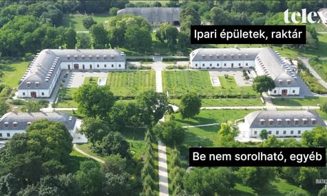У маєтку родини Орбана зафільмували розкішні сади та зебр. Премʼєр наполягає, що то ферма його батька