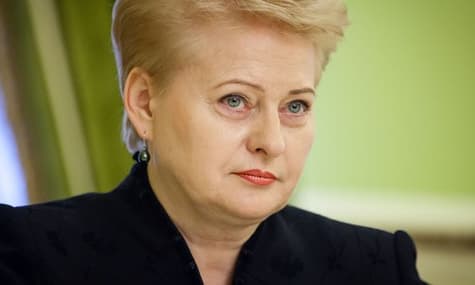 'Cooperation With Ukraine Is Necessary Due To Geopolitical Challenges' — Lithuanian President