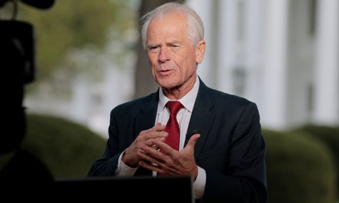 «Мене називали гірше»: економічний радник Трампа відреагував на допис Маска, у якому той назвав його «йолопом»