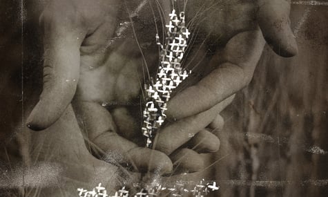 Мамо, дайте хлібчика: три голоди баби Ганни