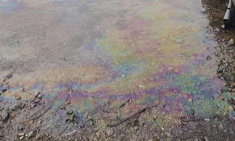 Забруднення річки Дністер