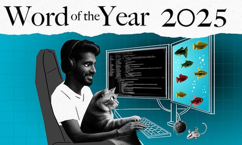 Словник Collins назвав словом 2025 року vibe coding. Термін вигадали лише цьогоріч