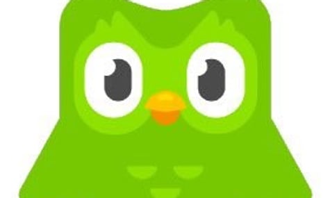 Duolingo заявило про смерть свого маскота сови: не дочекалася виконання уроку