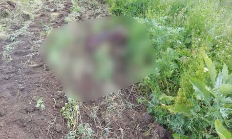 В Херсонской области от обстрела погиб пожилой мужчина, который трудился на огороде