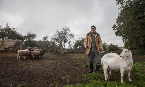 «У соседей капуста не уродила, а у тебя есть. Пошел — на огурцы поменял» — как белорусы спасают глубинку от вымирания