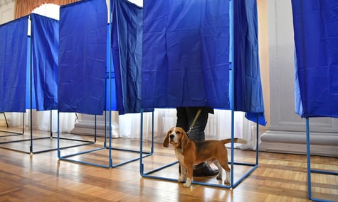 90% готові голосувати, але лише 21% хоче виборів найближчим часом. Як зрозуміти ці цифри?