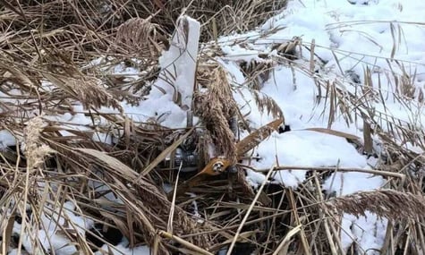 російський дрон «Гербера», знайдений 17 січня в Теленештському районі Молдови