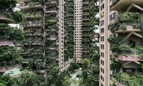 У Китаї створили багатоповерхівки з лісом на балконі. Та в них ніхто не захотів жити, і будинки окупували комарі