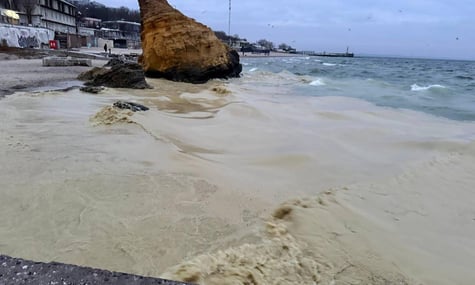 На пляжах Одеси виявили мертвих птахів та плями, схожі на нафтові