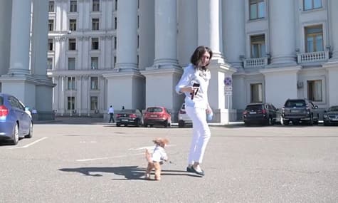 Двері МЗС відкрили для собак дипломатів