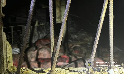 Свині, які загинули внаслідок російської атаки на Чернігівський район