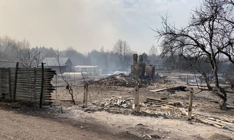 В Житомирской области горят тысячи гектаров леса, огонь уничтожил десятки домов