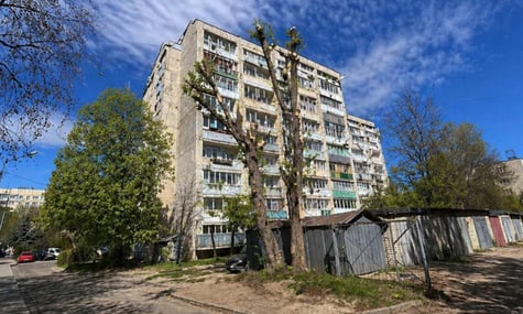Працівниці райадміністрації Львова оголосили догану за ШІ-фото обрізання дерев