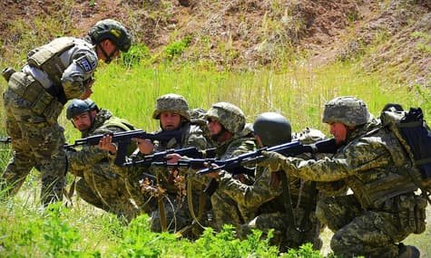 Сколько человек могут мобилизовать в этом году? В Раде ответили