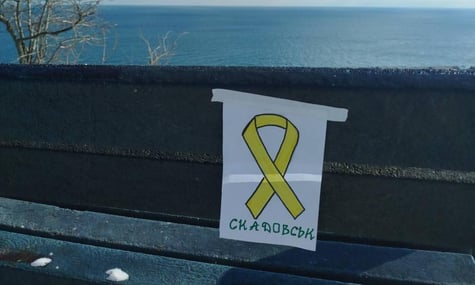 ССО почали розслідування. Компанія, яка підтримувала «Жовту стрічку» та «Злу мавку», нехтувала безпекою активістів заради збереження фінансування — Kyiv Independent