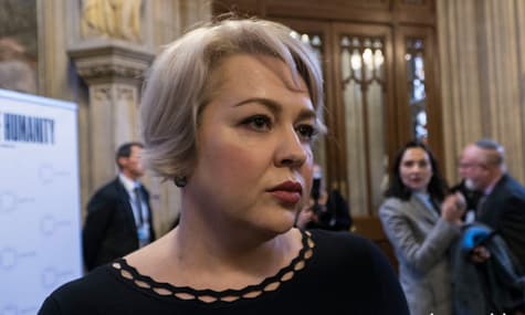 "Brexit Is a Window of Opportunity for Ukraine" – Amb. to the UK