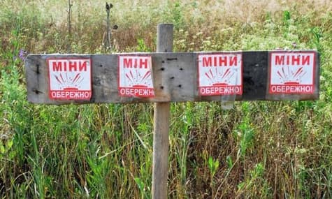 В Херсонской области на мине подорвались двое мужчин, которые проверяли свои поля