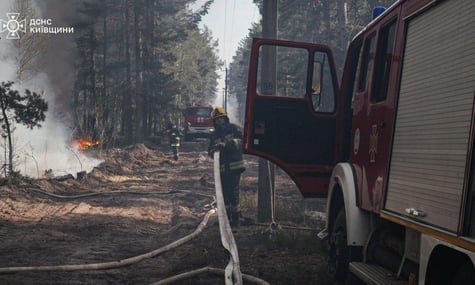 Лісова пожежа в Зоні відчуження