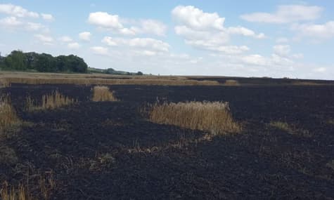 Окупанти 7 разів за добу обстріляли Сумщину: згоріла пшениця, постраждав природний парк
