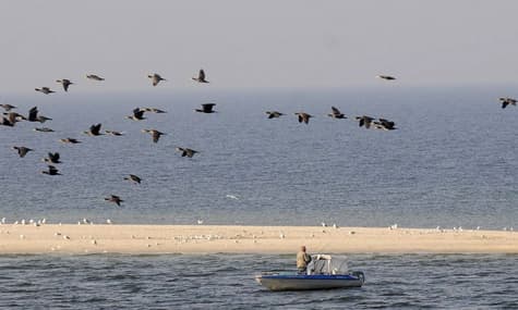 Чому море чорне та ще сім запитань до морського біолога