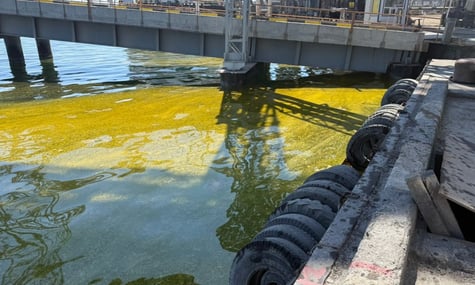 Соняшникова олія потрапила в акваторію порту Чорноморськ