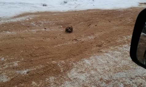 У Росії на дорозі знайшли череп. Виявилось, що зледенілу дорогу засипали піском із людськими кістками