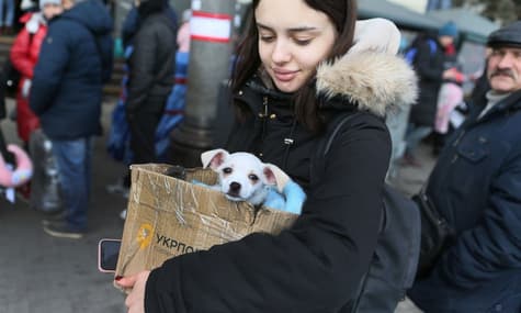 «Ми повернемося, коли буде безпечно». 45% українців планують залишатися в Польщі рік після війни