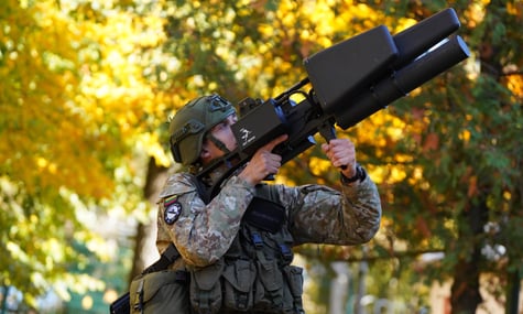 Литовський військовий