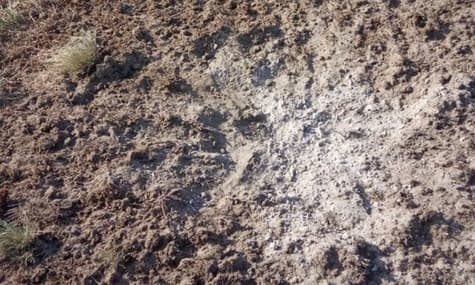 Окупанти обстріляли прикордоння Сумщини: є загиблий та поранена