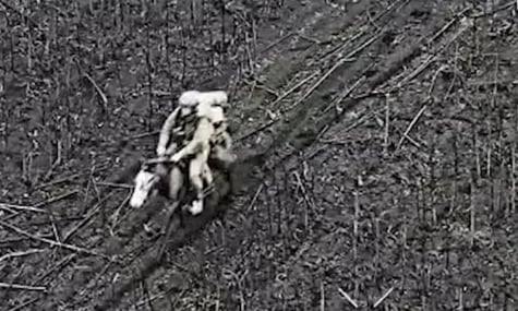 Окупанти почали ходити у штурми на конях — 92 ОШБр зафіксувала «кінноту» (ВІДЕО)