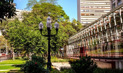 Озброєні грабіжники винесли картини Матісса просто з виставки у Бразилії