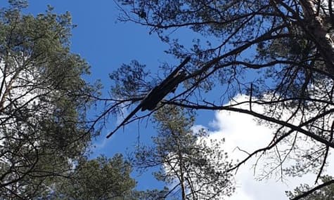 У Латвії знайшли зниклий дрон, через який обмежували повітряний простір