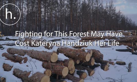 Fire and Acid: Fighting for This Forest May Have Cost Kateryna Handziuk Her Life