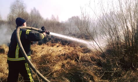 Fire in Chernobyl Zone Spreads over 100 Hectares. Radiation 10 Times the Norm