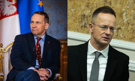 Очільники МЗС Польщі та Угорщини Радослав Сікорський та Петер Сіярто