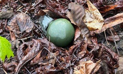 Граната, яку знайшли під час толоки