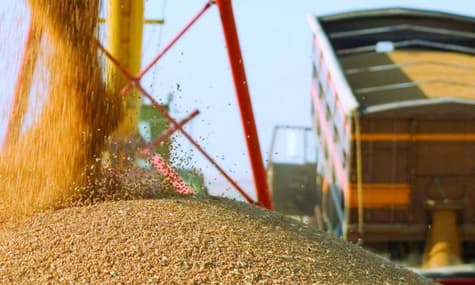 ЄС продовжує заборону імпорту агропродукції з України до 5 держав. Але обіцяє скасувати її поступово