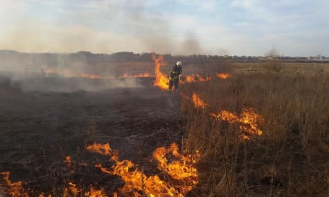 В Киеве и области - почти 40 пожаров за сутки: людям советуют оставаться дома и не открывать окна