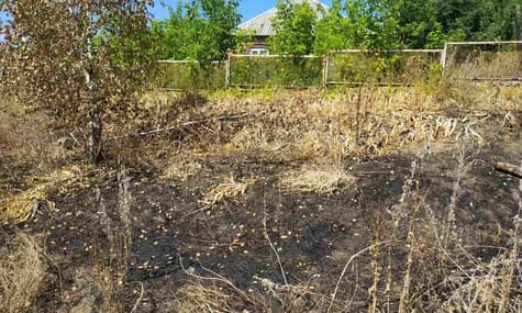 На Харьковщине во время пожара сухой травы погиб человек