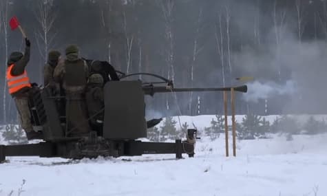 Міноборони Литви показало гармати L70, які передали Україні
