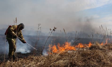 «Разгар сезона». Россия задыхается от рекордного количества лесных пожаров. Ждать ли повторения смога 2010 года?