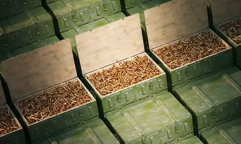 У Німеччині невідомі викрали 20 тисяч набоїв, які належали армії, та перевозили їх у цивільній вантажівці