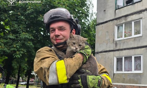 На Донеччині рятувальники дістали з-під завалів кота, який пробув там дві доби