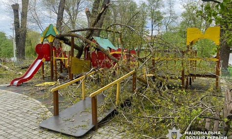 Наслідки негоди на Буковині 24 квітня 2026 року