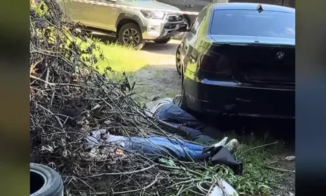 Вбивцями полковника СБУ Воронича були іноземці — поліція