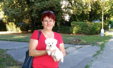 «Анцихристи лізут»: Закарпатка отримала штраф за Facebook-коментарі з образами вірян ПЦУ